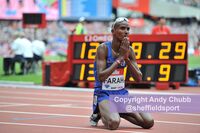 Mo Farah, London Stadium, July 2015
